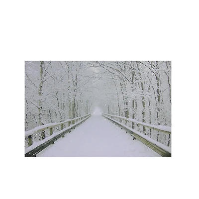 Winter Wooden Bridge Fiber Optic Lighted Canvas Wall Art
