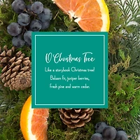 Scentsicles O Christmas Tree Scented Paper Stick Ornaments, 12ct.