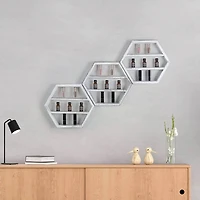 Essential Oil Storage Shelf Set