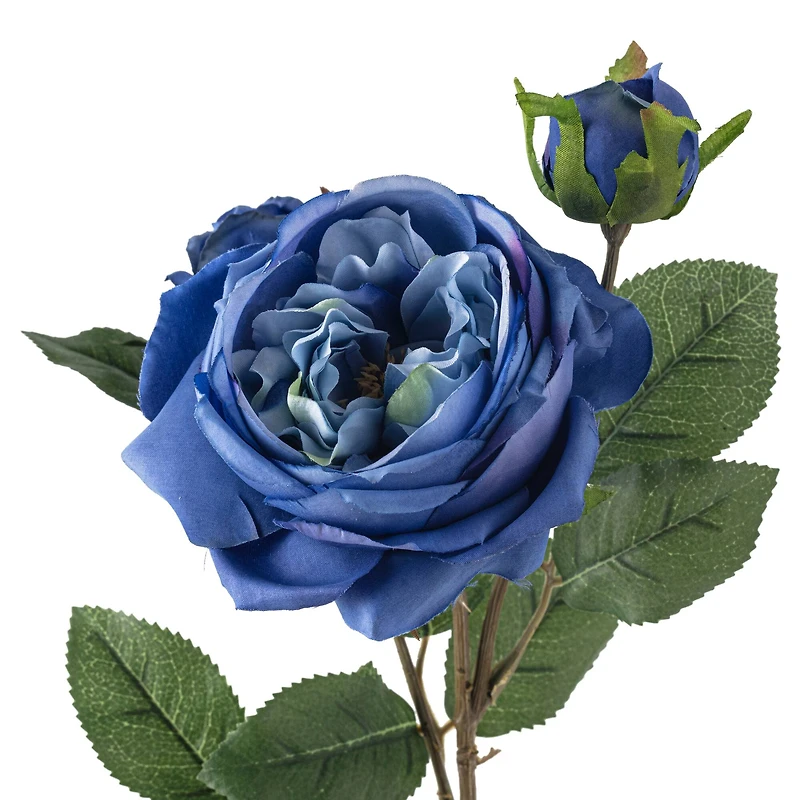 Blue English Rose Stem by Ashland®