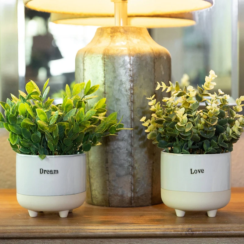 Flora Bunda® 4.75" Eucalyptus In Tea Leaf In Dream Ceramic & Love Text  Footed Set