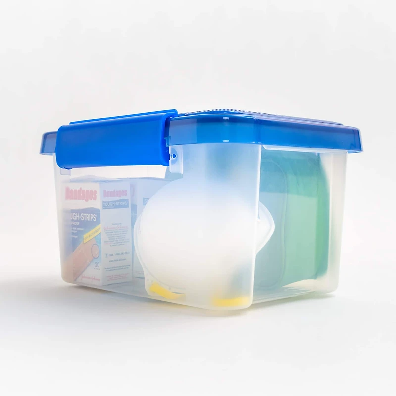 IRIS® Letter & Legal Size Element Resistant Clear File Box