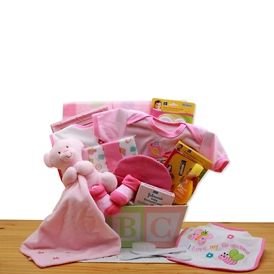 Easy as ABC Pink New Baby Gift Basket