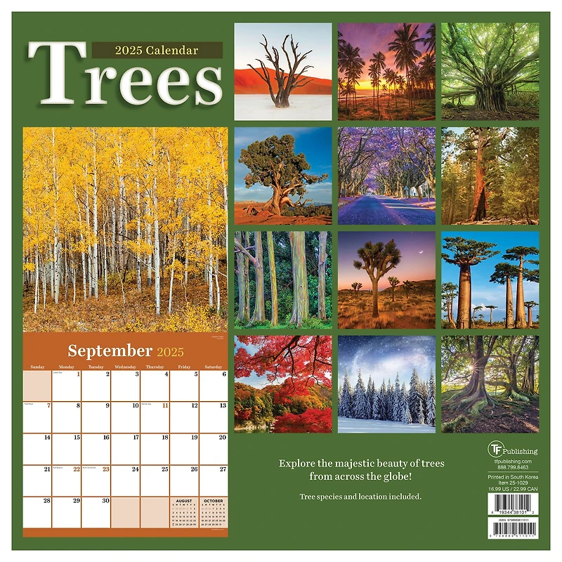 TF Publishing 2025 Trees Wall Calendar