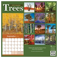 TF Publishing 2025 Trees Wall Calendar