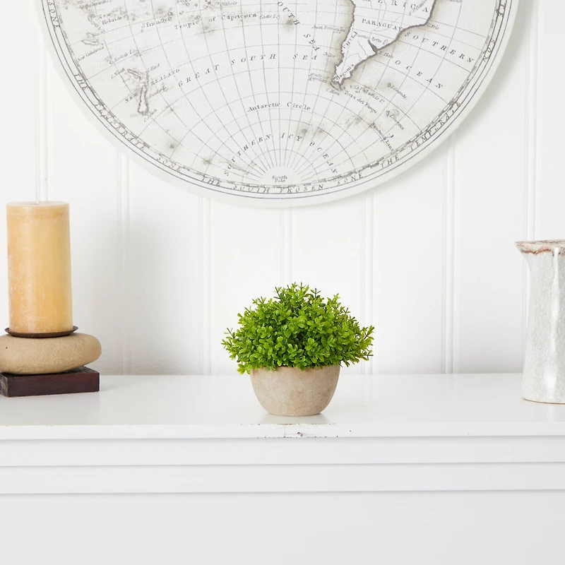 5'' Boxwood Artificial Plant in Decorative Planter