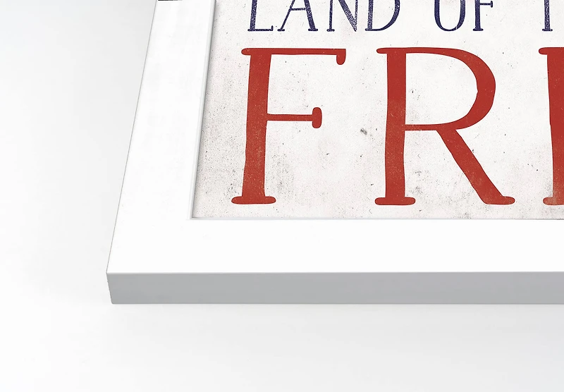 Land of the Free White Framed Print Under Plexiglass