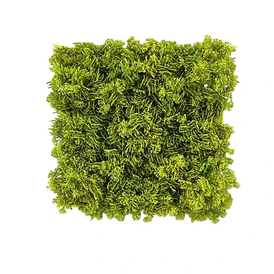 10" Faux Moss Mat by Ashland®