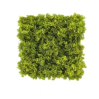 10" Faux Moss Mat by Ashland®