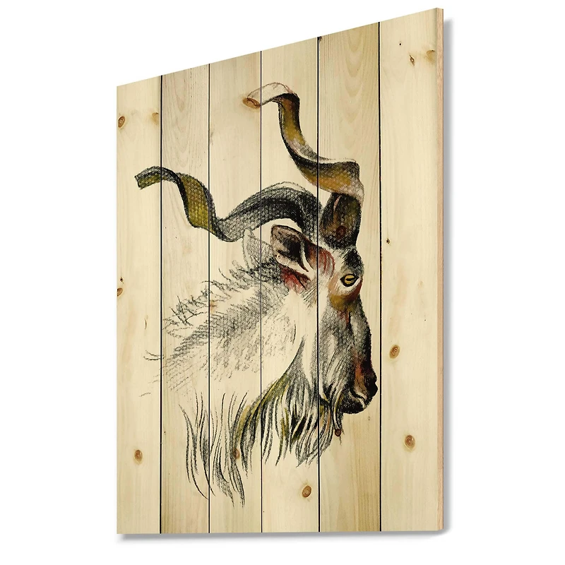 Designart - Monochrome Portrait Of Goat II