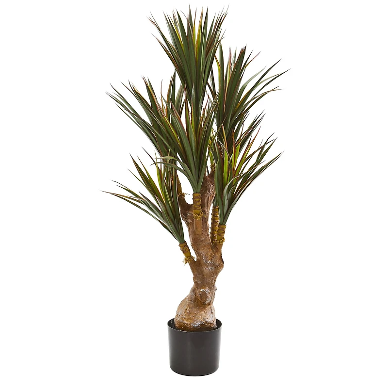 4ft. Potted Yucca Tree