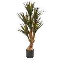 4ft. Potted Yucca Tree