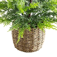 32in. Pre-Lit Artificial Lightly Snowed Cypress Christmas Tree with 30 Warm White LED Lights in Decorative Weaved Basket