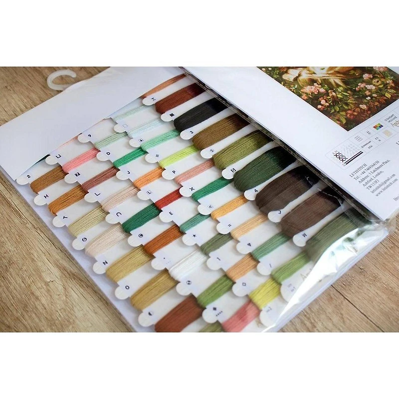 Letistitch Into Dreamland Counted Cross Stitch Kit