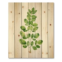 Designart - Moringa Branch Tropical Tree Foliage