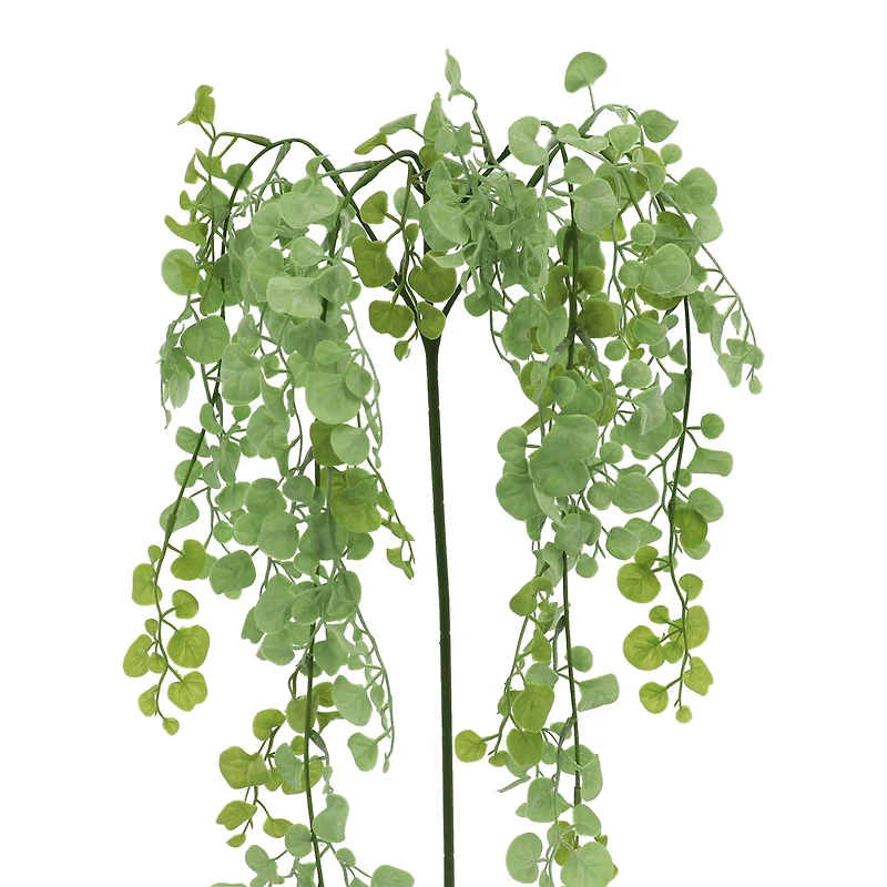 20" Light Green Hanging Foliage by Ashland®