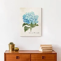 Hydrangea Illustration 12" x 16" Canvas Wall Art