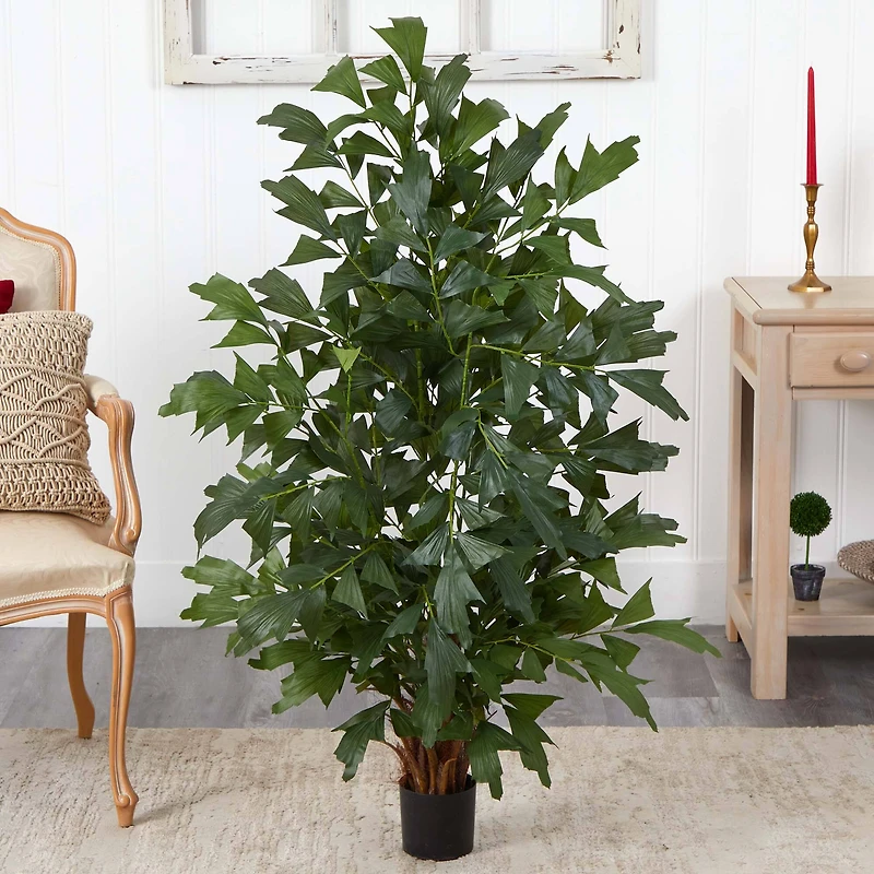 4.5ft. Potted Fishtail Palm Tree