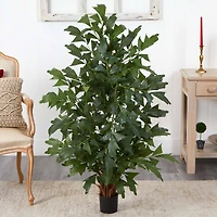 4.5ft. Potted Fishtail Palm Tree