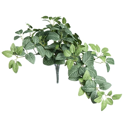 13" Hanging Fittonia UV Bush by Ashland®
