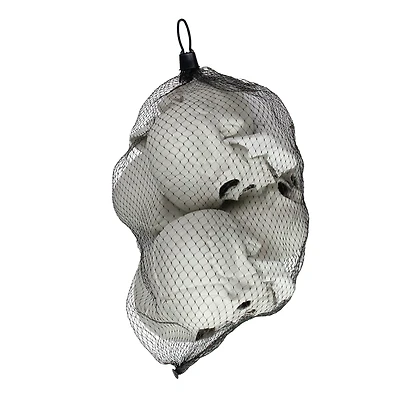 4.75" Skull Halloween Decorations, 6ct.