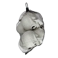 4.75" Skull Halloween Decorations, 6ct.