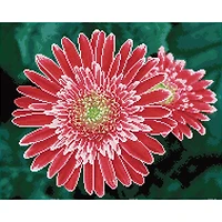 Diamond Dotz® Intermediate Pink Gerberas Diamond Painting Kit