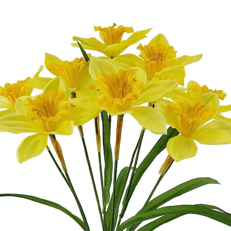 20" Daffodil Bush by Ashland