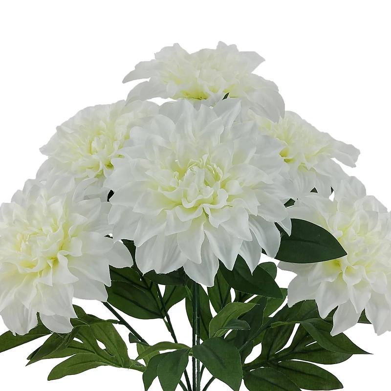 19" Dahlia Bush by Ashland