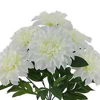 19" Dahlia Bush by Ashland