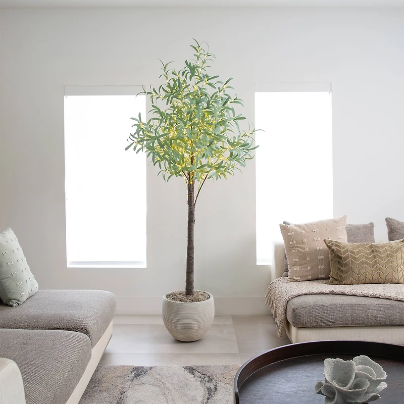 6ft. Pre-Lit Artificial Olive Tree with Warm White LED Lights