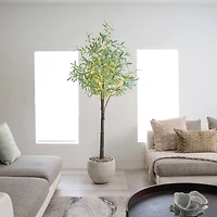 6ft. Pre-Lit Artificial Olive Tree with Warm White LED Lights