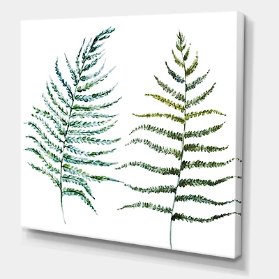 Designart - Two Fern Leaves