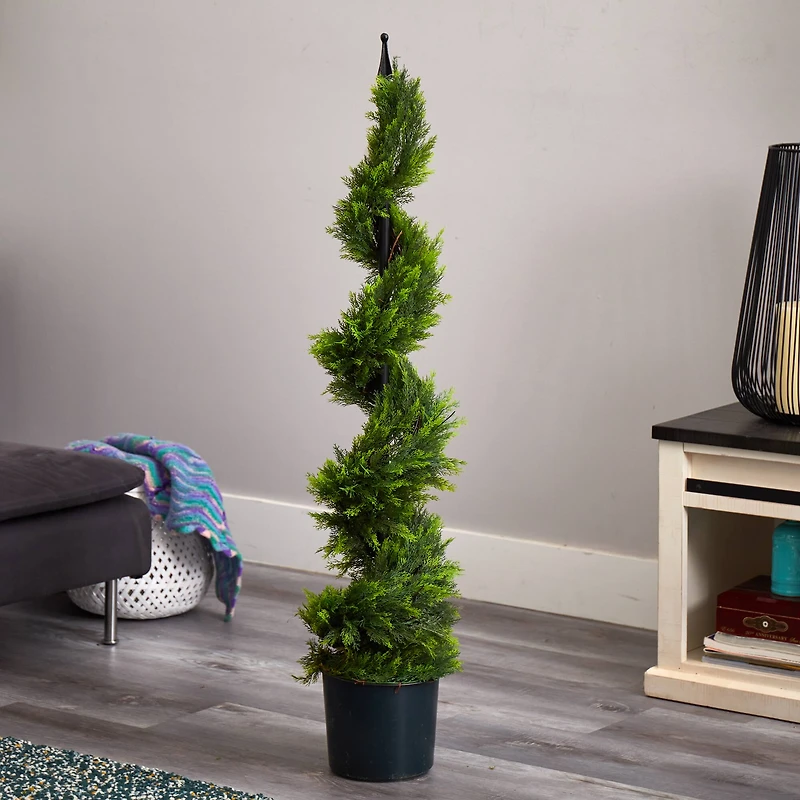 4ft. Potted Cypress Spiral Tree