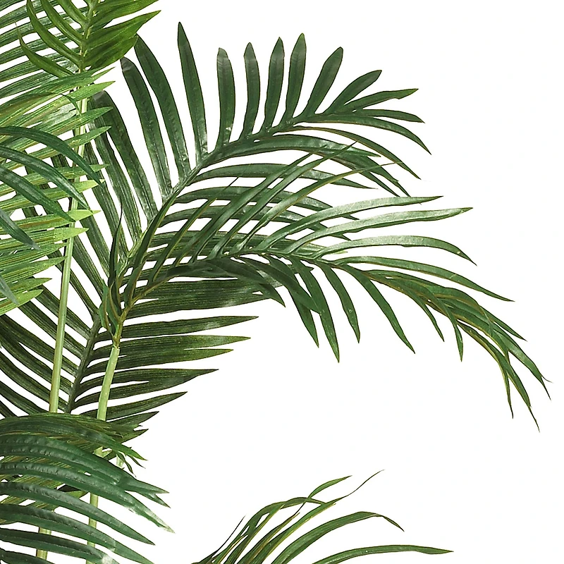 6ft. Potted Paradise Palm