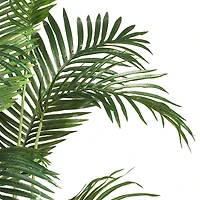 6ft. Potted Paradise Palm