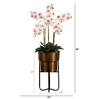 4ft. White Orchid Arrangement in Brass Metal Planter with Stand