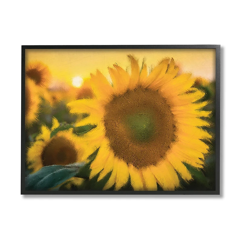 Stupell Industries Sunflower Field Sunrise Realistic Soft Edges in Frame Wall Art