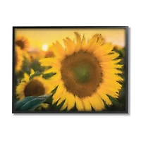 Stupell Industries Sunflower Field Sunrise Realistic Soft Edges in Frame Wall Art