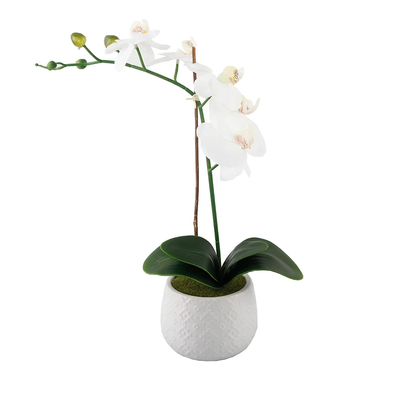 Flora Bunda® 16" Real-Touch Orchid in Ceramic Pot