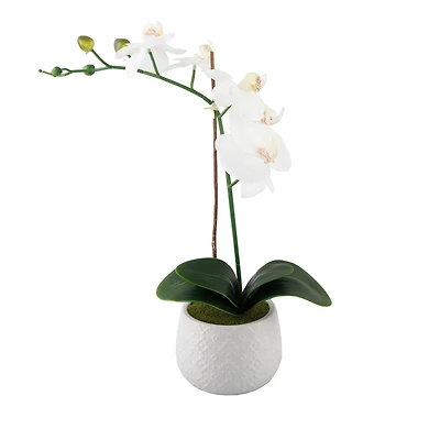 Flora Bunda® 16" Real-Touch Orchid in Ceramic Pot