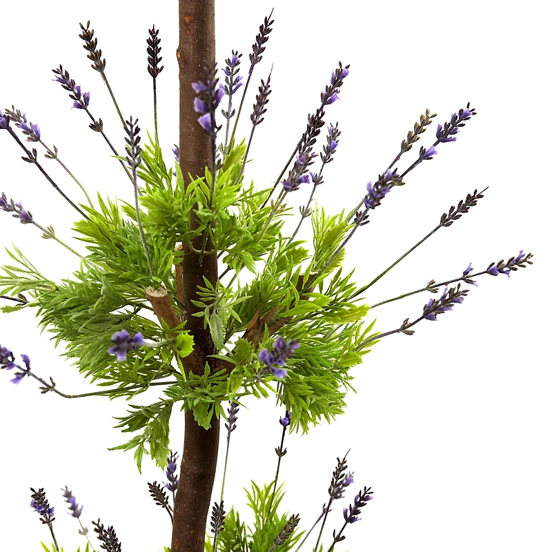 4ft. Lavender Topiary with European Barrel Planter