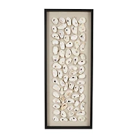 Cream Shell Wall Décor with Black Frame