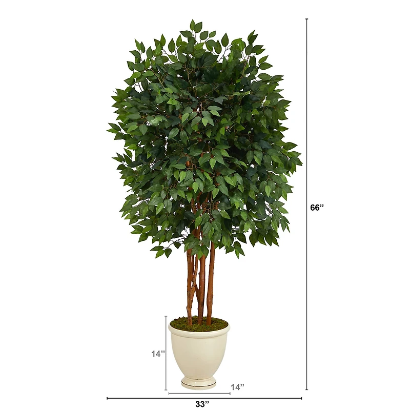5.5ft. Super Deluxe Ficus Tree in Decorative Urn