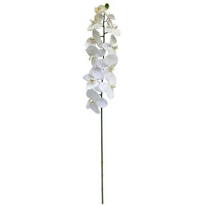 White Orchid Stem by Ashland®