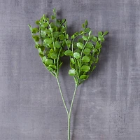 Assorted 11" Fern Pick by Ashland®, 1pc.