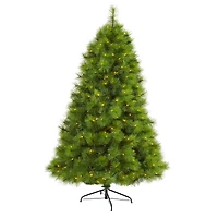 6.5ft. Pre-Lit Green Scotch Pine Artificial Christmas Tree with Clear LED Lights