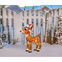 2ft. 3D Pre-Lit Rudolph with C9 Light Strand