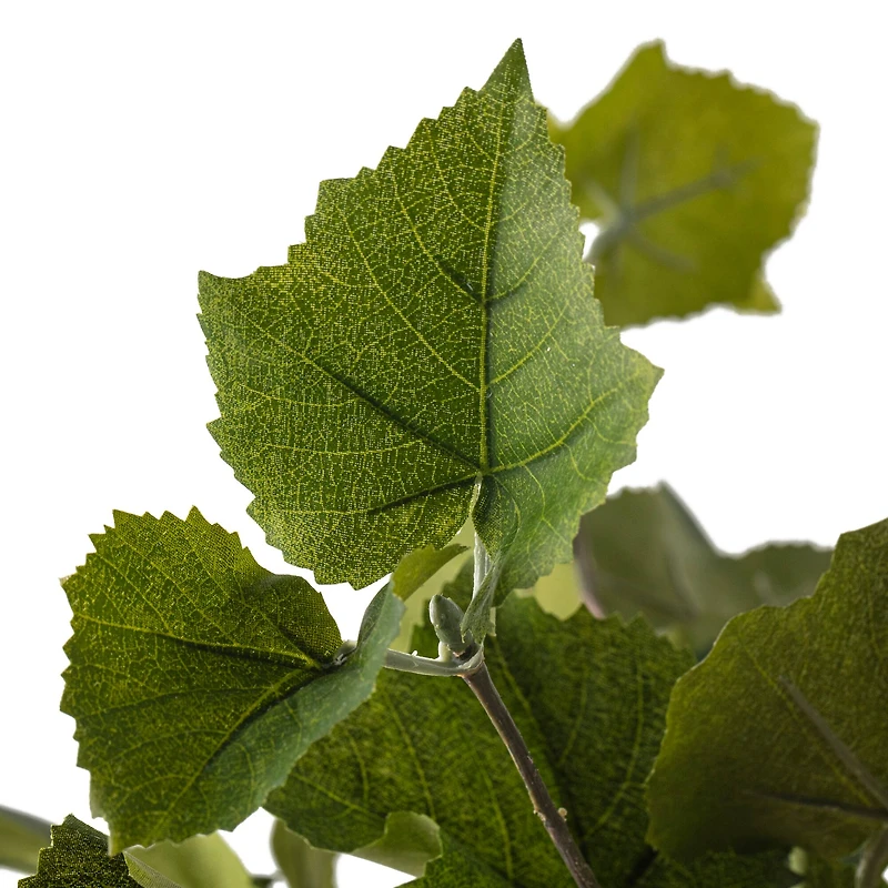 15 Pack: Green Hanging Grape Leaf Bush by Ashland®