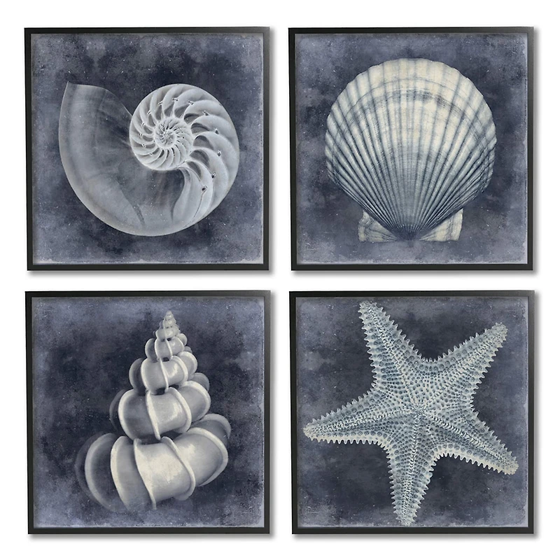 Stupell Industries Nautical Distressed Seashells and Starfish Blue White,12" x 12"